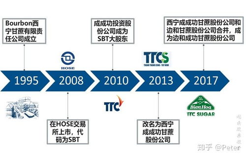 越南食品行業(yè)新星 SBT公司財(cái)務(wù)咨詢及業(yè)務(wù)簡介